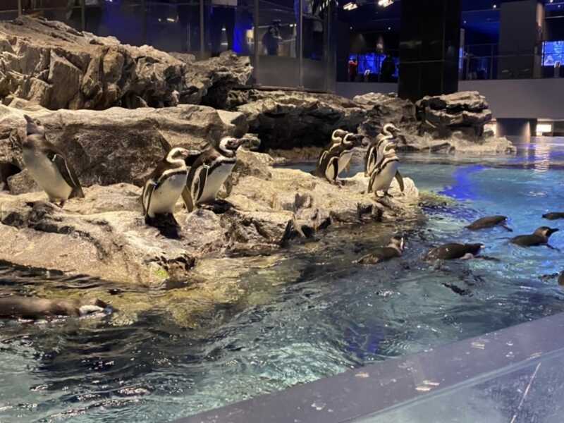 すみだ水族館