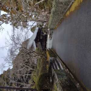 霊山寺