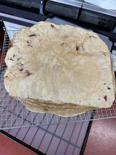 えびせんパーク