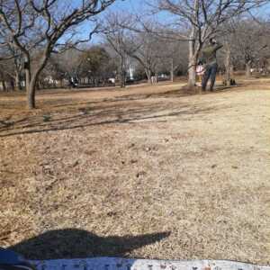 北総花の丘公園