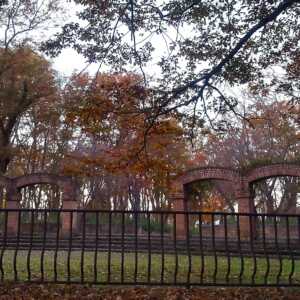 蛇沼公園