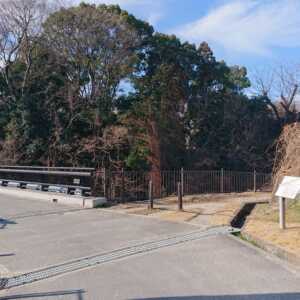 大阪公立大学附属植物園