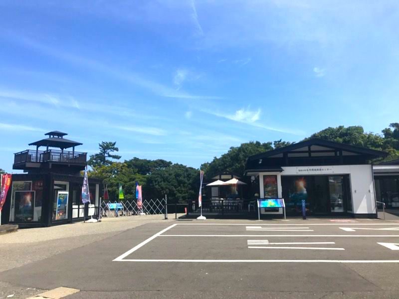空中展望台 スカイバード