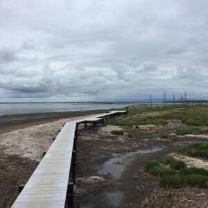 野付半島