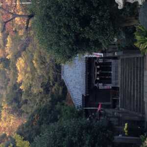 高来神社