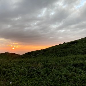 伊吹山ドライブウェイ