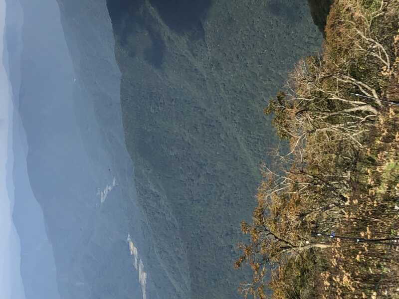 伊吹山ドライブウェイ