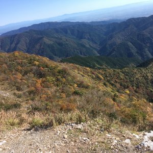 伊吹山ドライブウェイ
