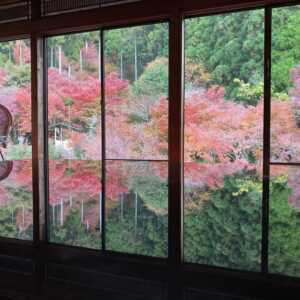 環境芸術の森