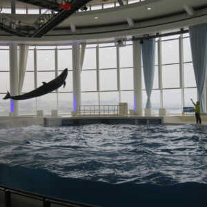 アクアワールド　茨城県大洗水族館