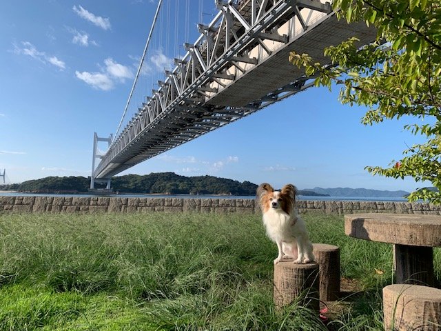 瀬戸大橋