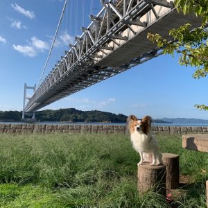 瀬戸大橋