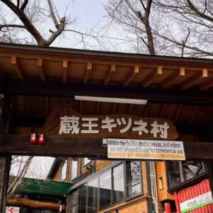 宮城蔵王キツネ村