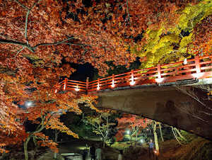 弥彦公園