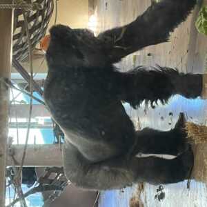 東山動植物園