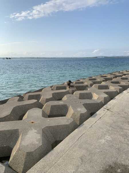 浜比嘉島
