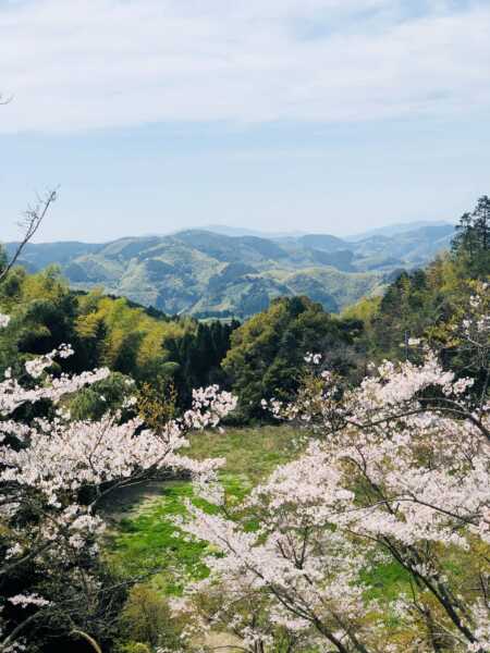 飛形山（飛形自然公園）