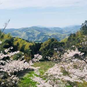 飛形山(飛形自然公園)