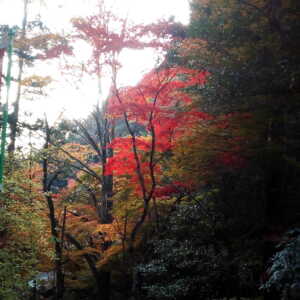 石龕寺
