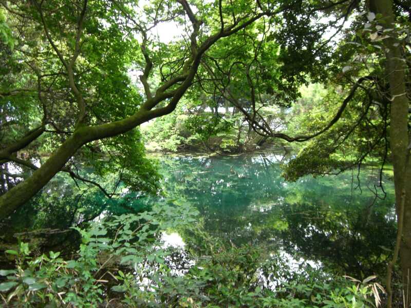 丸池様