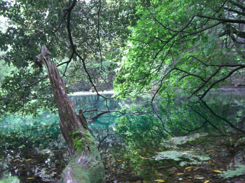 丸池様