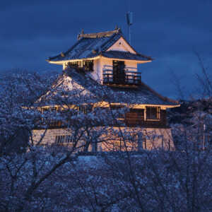 吉井城山公園