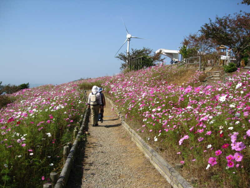 鷲ヶ峰コスモスパーク