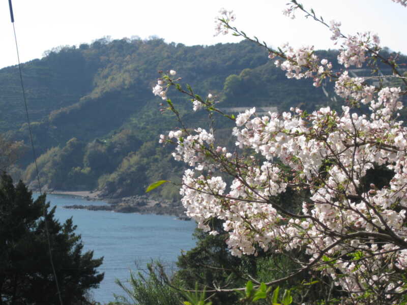 施無畏寺