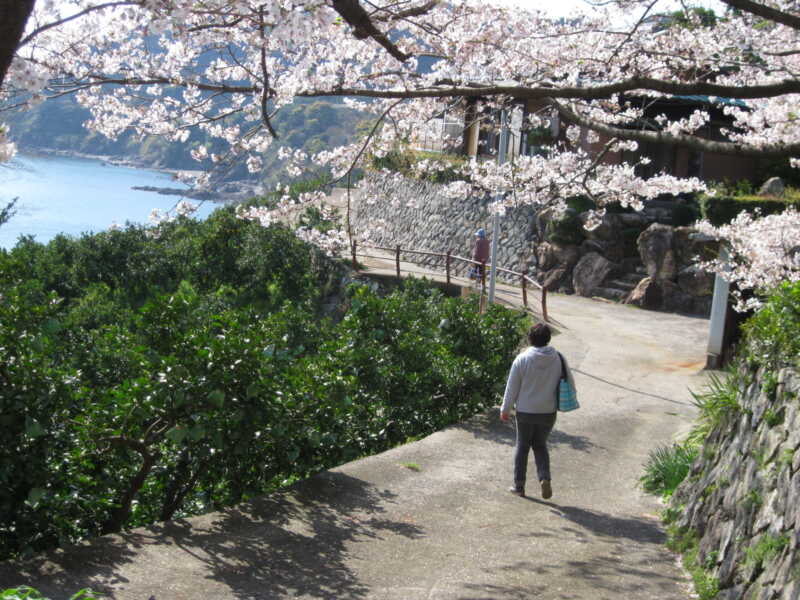 施無畏寺