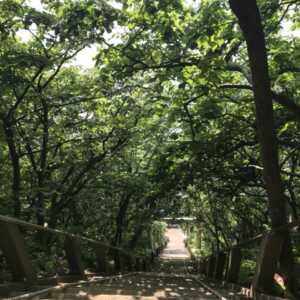 太田山神社