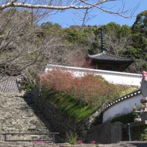 長保寺