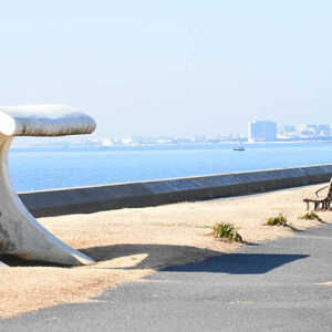 茜浜