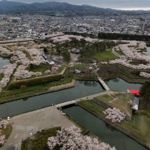 五稜郭公園