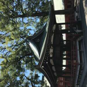 氷川神社