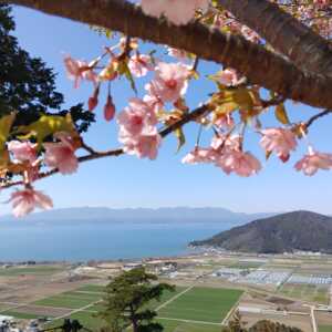 八幡山