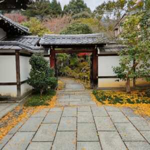 霊鑑寺
