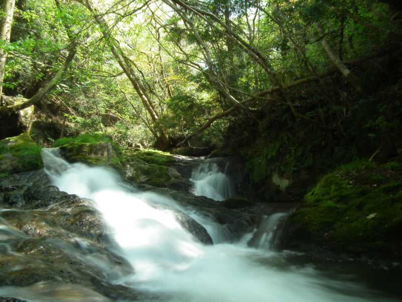 初音の滝