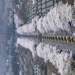 冨士霊園