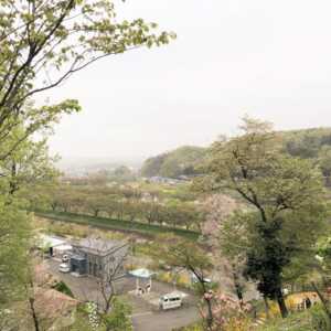 船岡城址公園