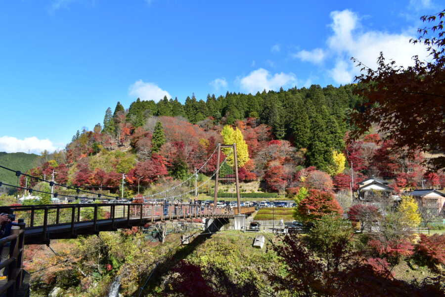 大井平公園