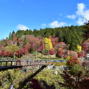 大井平公園