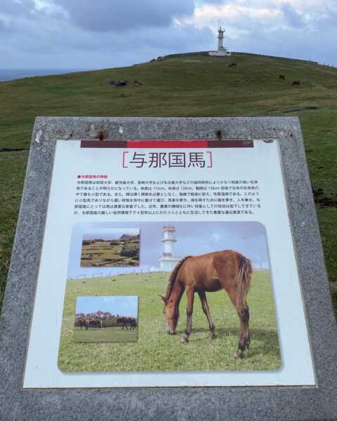 東崎展望台