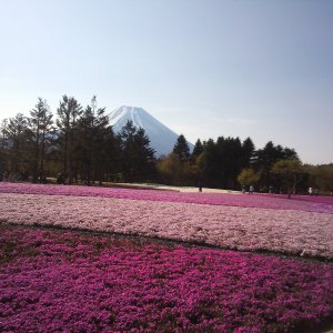富士本栖湖リゾート