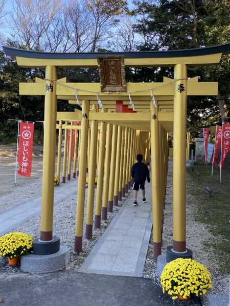 ほしいも神社