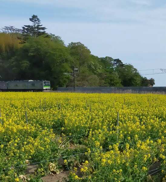 古浦農村公園