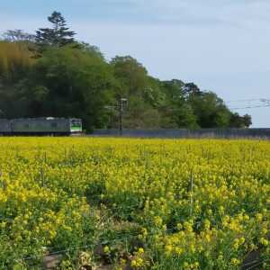 古浦農村公園