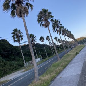 西浦シーサイドロード