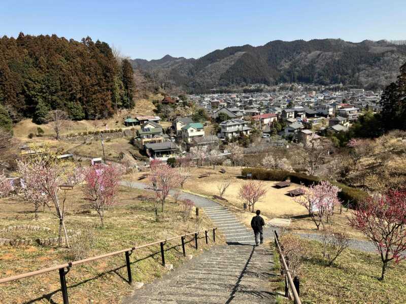 梅の公園