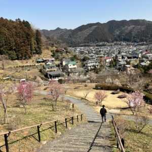 梅の公園
