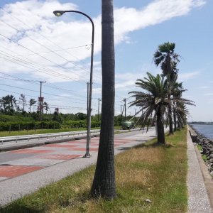 千葉フォルニア